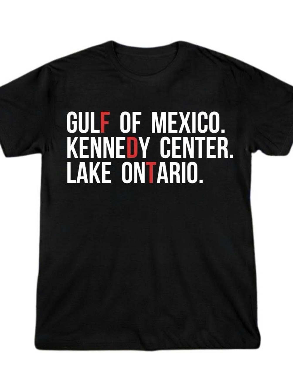Gildan Shirt Black Lake Ontario Graphic Tee